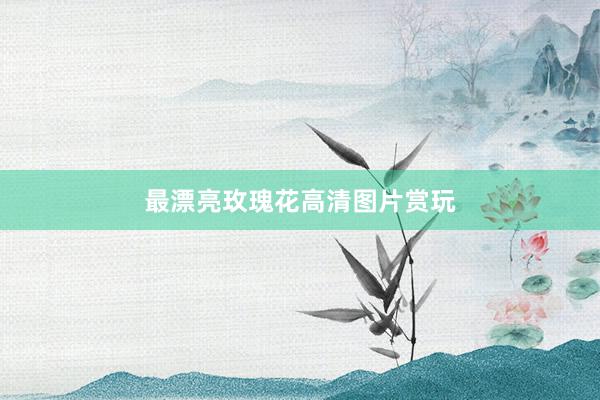 最漂亮玫瑰花高清图片赏玩